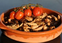 Pulled Chicken