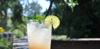 Limonade selber machen