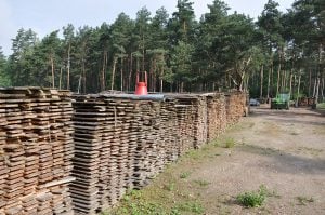 Axtschlag BBQ Wood Raeucherholz 07