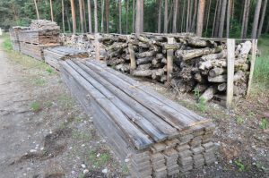 Axtschlag BBQ Wood Raeucherholz 09