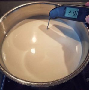 Mozzarella selber machen – Rezept für italienischen Mozzarella-mozzarella selber machen-Mozzarella selber machen 02 297x300 Mozzarella selber machen Mozzarella selber machen – Rezept für italienischen Mozzarella-mozzarella selber machen-Mozzarella selber machen 02 297x300
