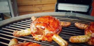 Hackfleisch-Schildkröten