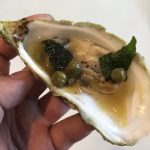 Kerrygold Bloggerreise Irland Weidehaltung Rinderzucht 17