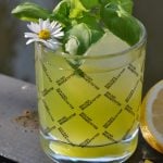 Gin Basil Smash Cocktail 03
