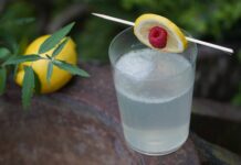 Tom Collins Longdrink