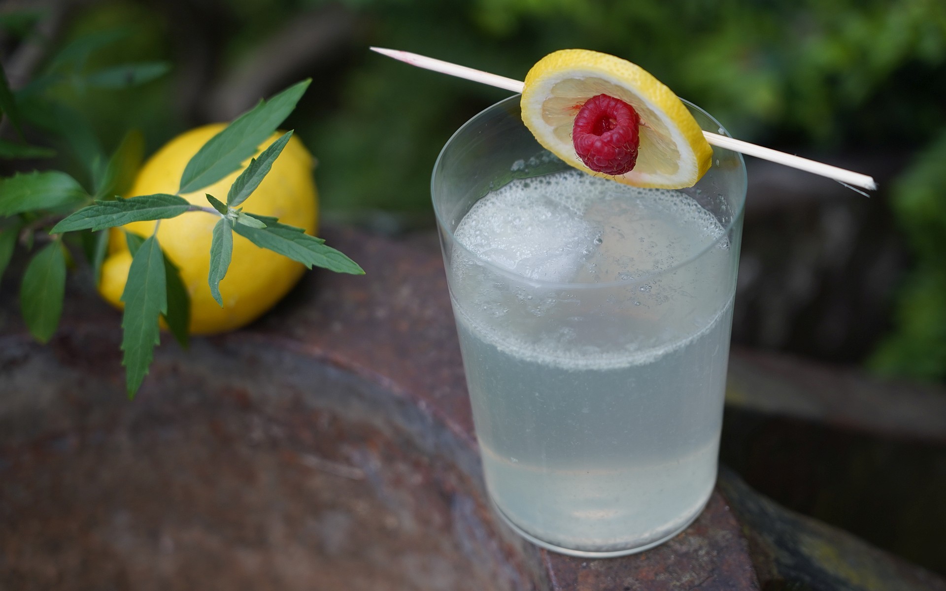 Tom Collins Longdrink