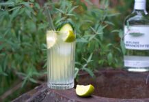 Gin Mule