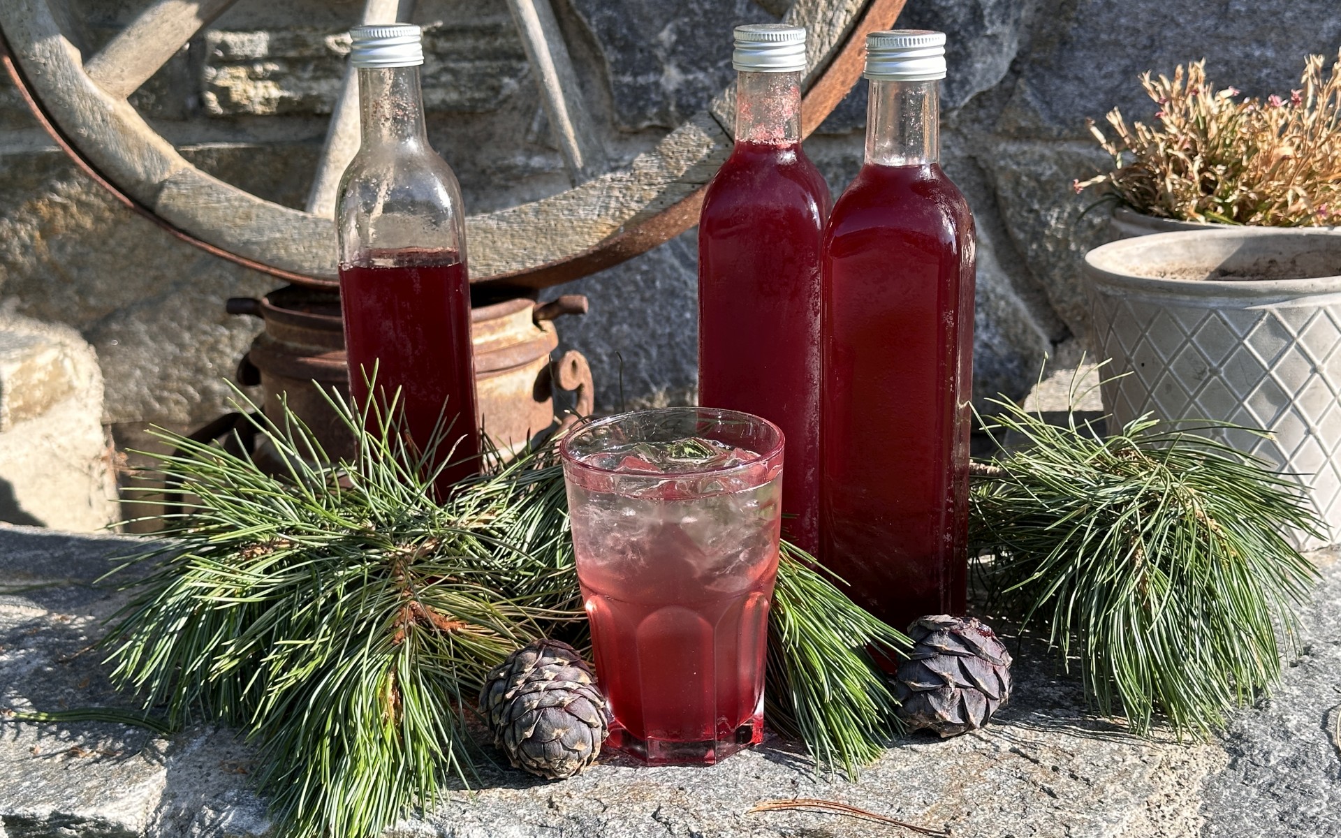 Zirbenlimonade