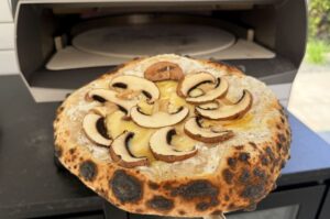 Pizza Ricotta Champignon 04
