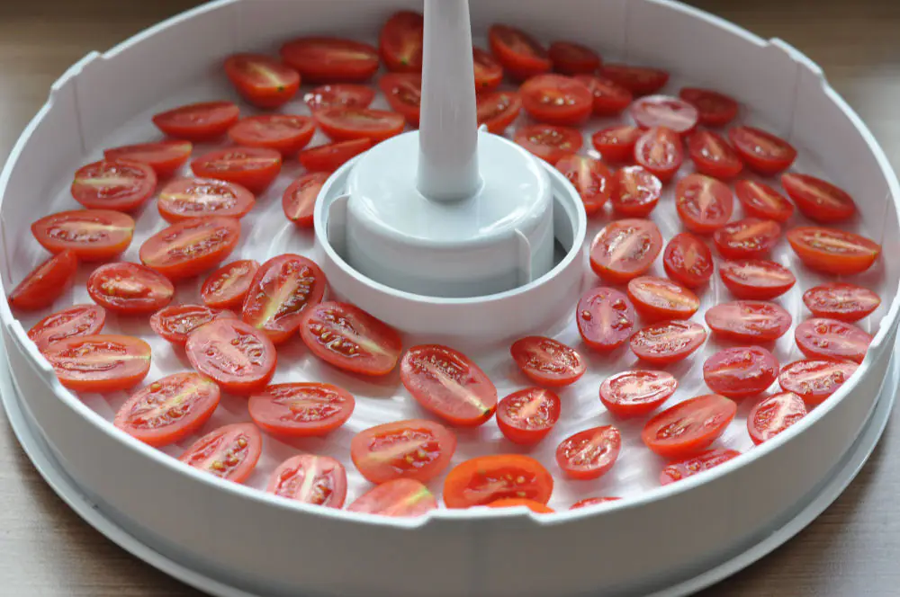 Kirschtomaten im Dörrautomat