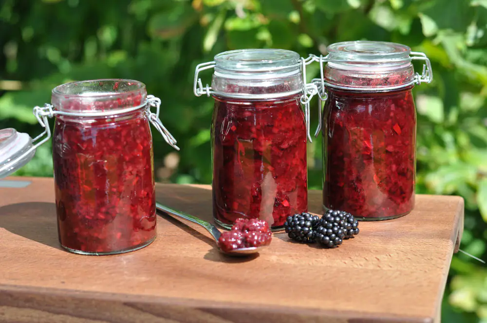 Fruchtiges Brombeer-Chutney bratäpfel vom grill-BrombeerChutney-Bratäpfel vom Grill mit Vanillesauce