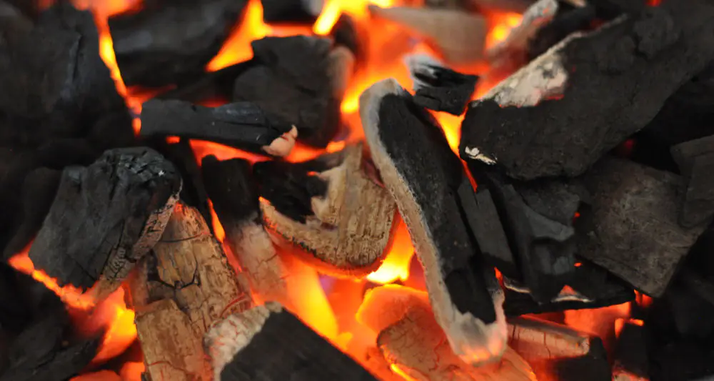 Welche Holzkohle kaufen? Grillkohle und Holzkohlebriketts