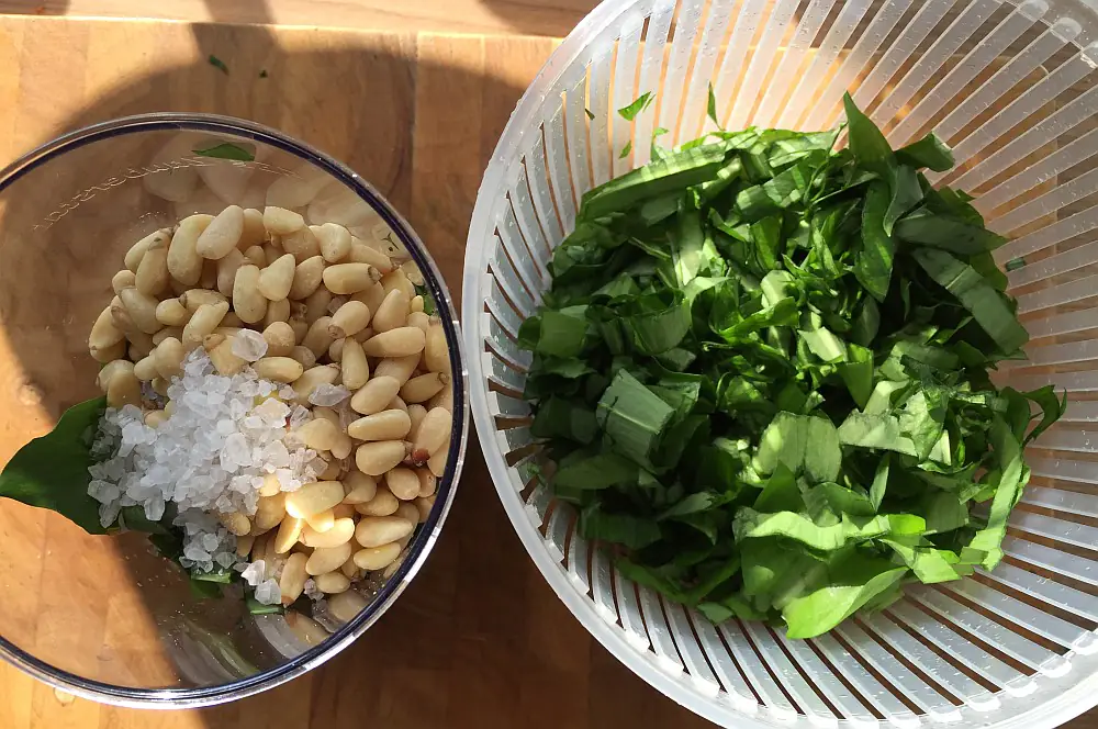 Bärlauch-Pesto mit Pinienkernen und Parmesan 2 Pesto