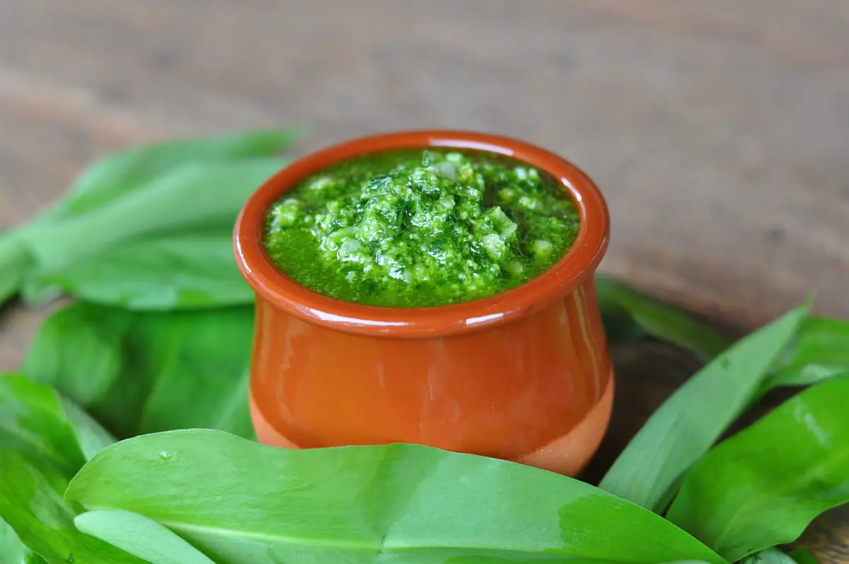 Bärlauch-Pesto mit Pinienkernen und Parmesan pesto rosso-BaerlauchPesto-Pesto Rosso &#8211; Rotes Tomatenpesto selber machen