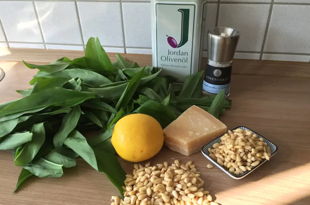 Bärlauch-Pesto mit Pinienkernen und Parmesan 1 Bärlauch-Pesto