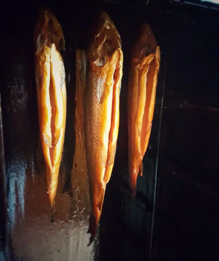 Geräucherte Forellen - Anleitung Fisch räuchern 5 Fisch räuchern