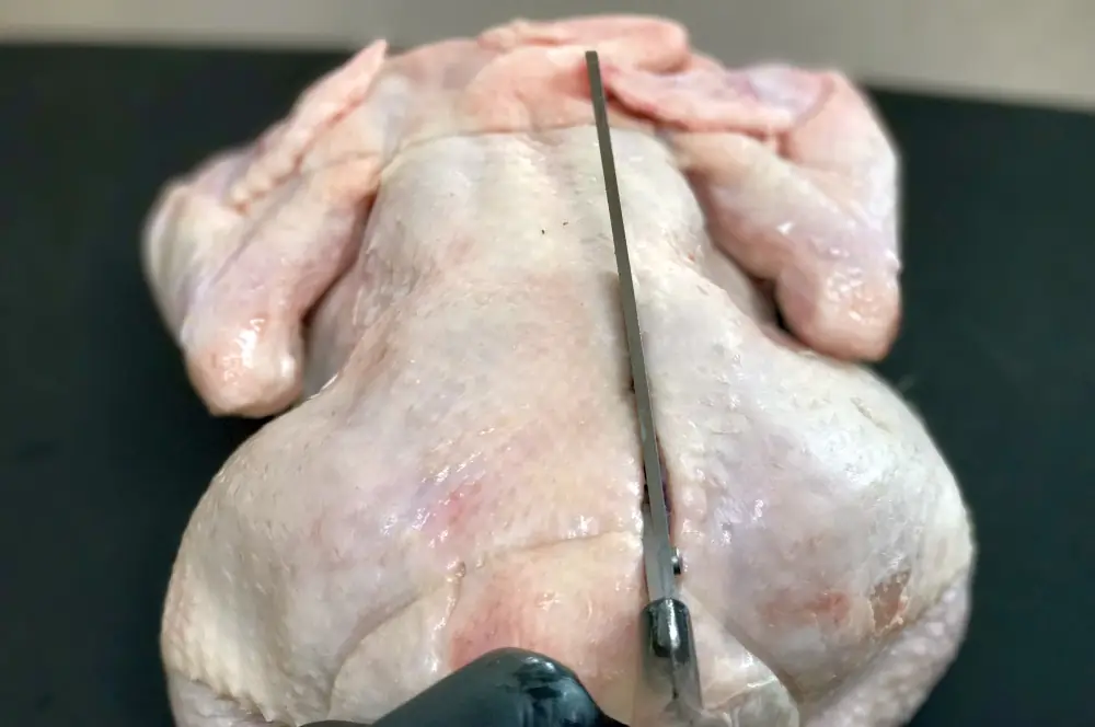 Roadkill Chicken - Platthuhn auf Zitrusfrüchten 2 Platthuhn zubereiten