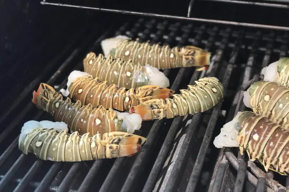 Gegrillte Langustenschwänze mit Parmesan-Hollandaise 3 Spiny Lobster