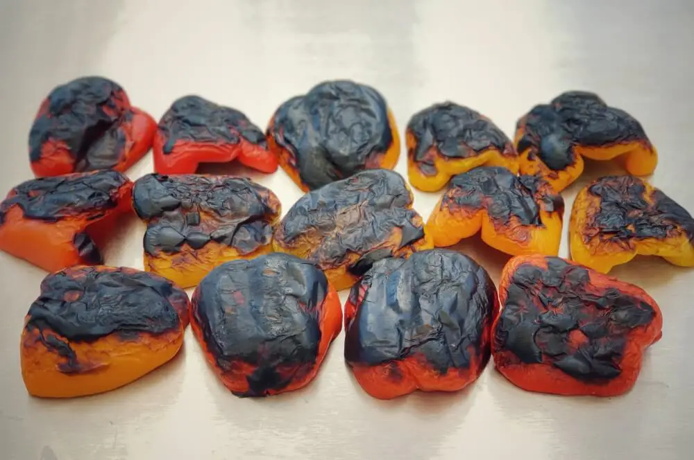 Eingelegte Paprika - Grillpaprika in Kräuteröl 3 Gegrillte Paprika mit schwarzer Haut