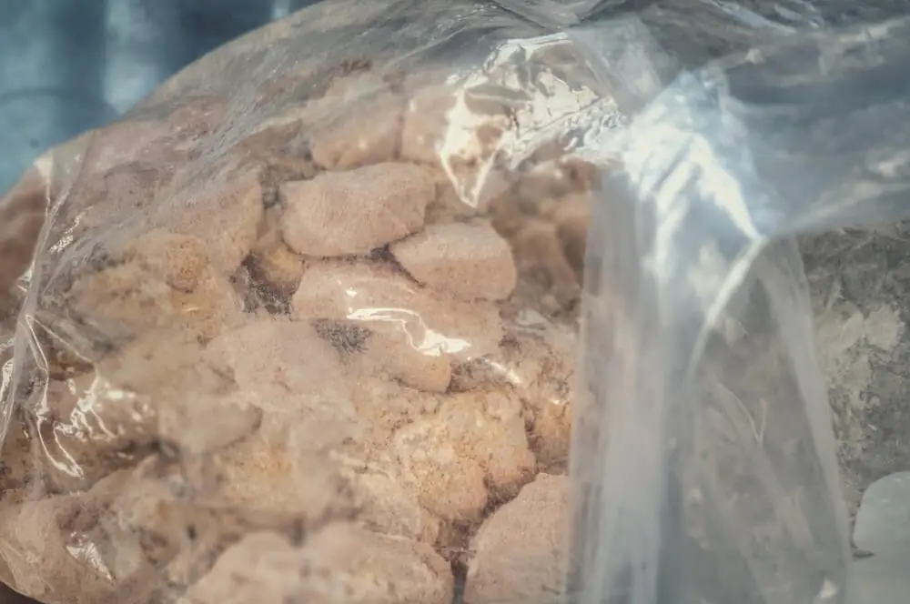 Frittierte Langusten-Nuggets aus dem Dutch Oven 2 Die Langustenstücke werden paniert