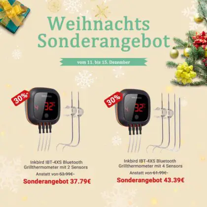 InbirdIBT 4XS Weihnachtsangebot