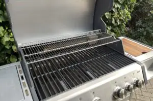 Burnhard EARL Gasgrill Test 14
