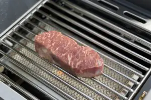 Burnhard EARL Gasgrill Test 28
