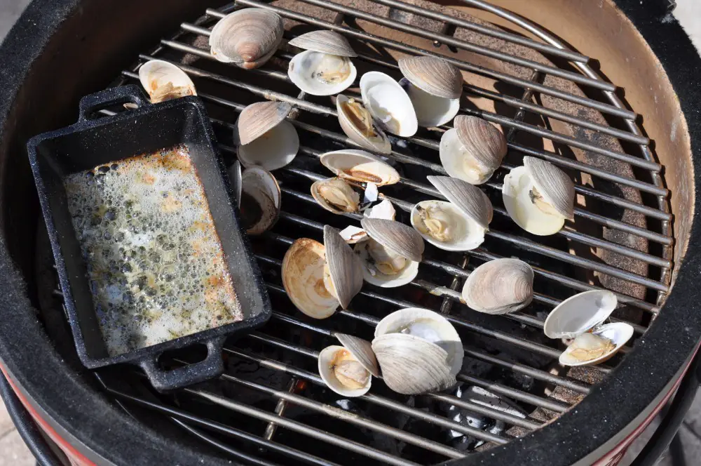 Muscheln Grillen - 5 Tipps wie man Muscheln auf dem Grill zubereitet 2 Muscheln öffnen sich, wenn sie gar sind