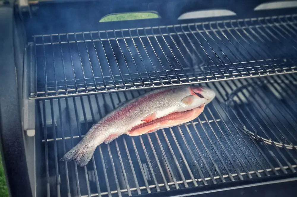 Gesmokte Forelle vom Pelletgrill 2 Die Forelle wird für 15 Minuten im Weber Smokefire EX6 Pelletgrill geräuchert