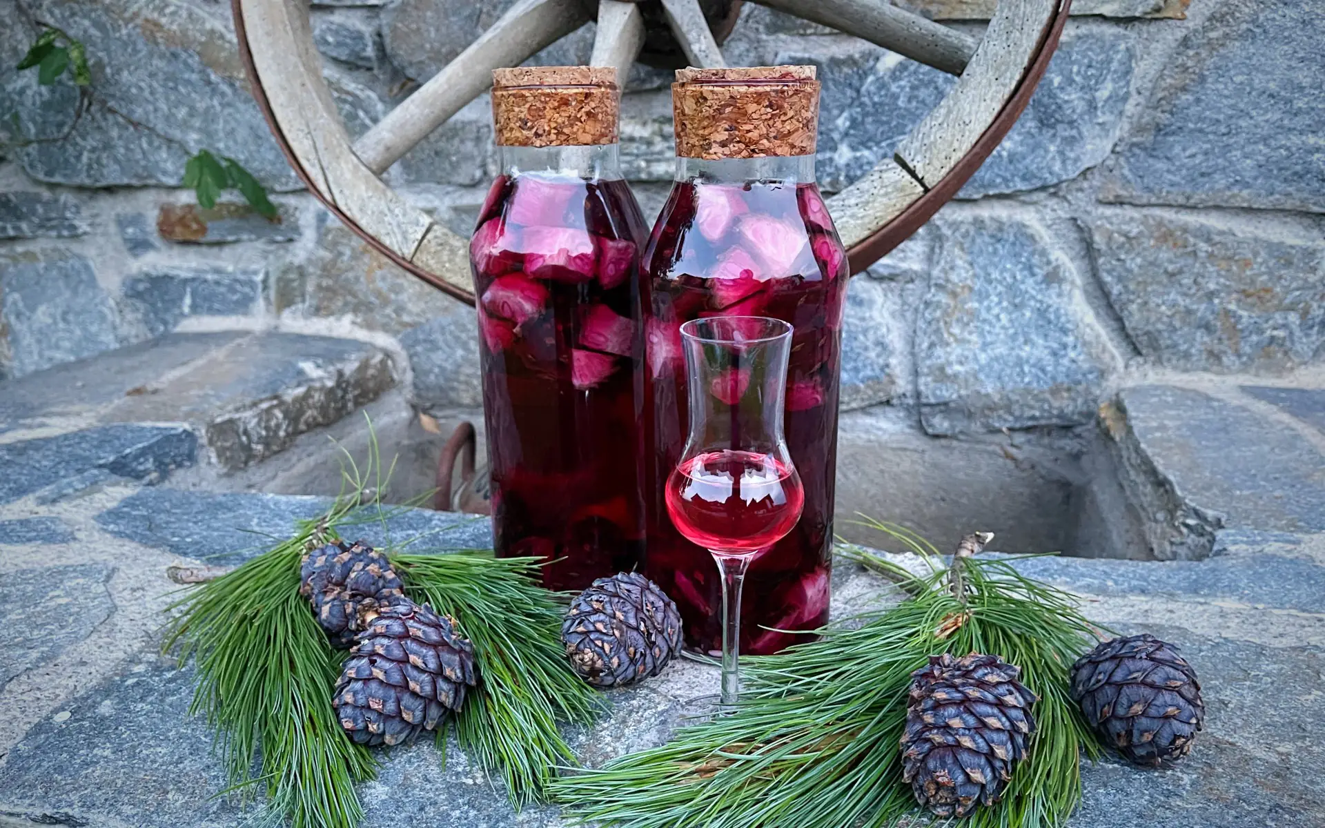 Zirbenschnaps - Zirbenlikör selber machen | BBQPit.de zirbensirup-Zirbenschnaps Zirbenlikoer selber machen Rezept-Zirbensirup selber machen &#8211; Ideal für Cocktails, Sekt und Limonaden