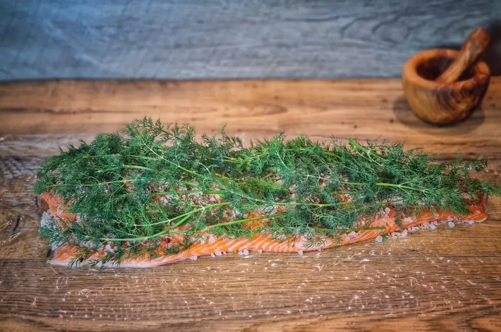 Graved Lachs - gebeizten Lachs selber machen 2 Der Lachs wird gebeizt