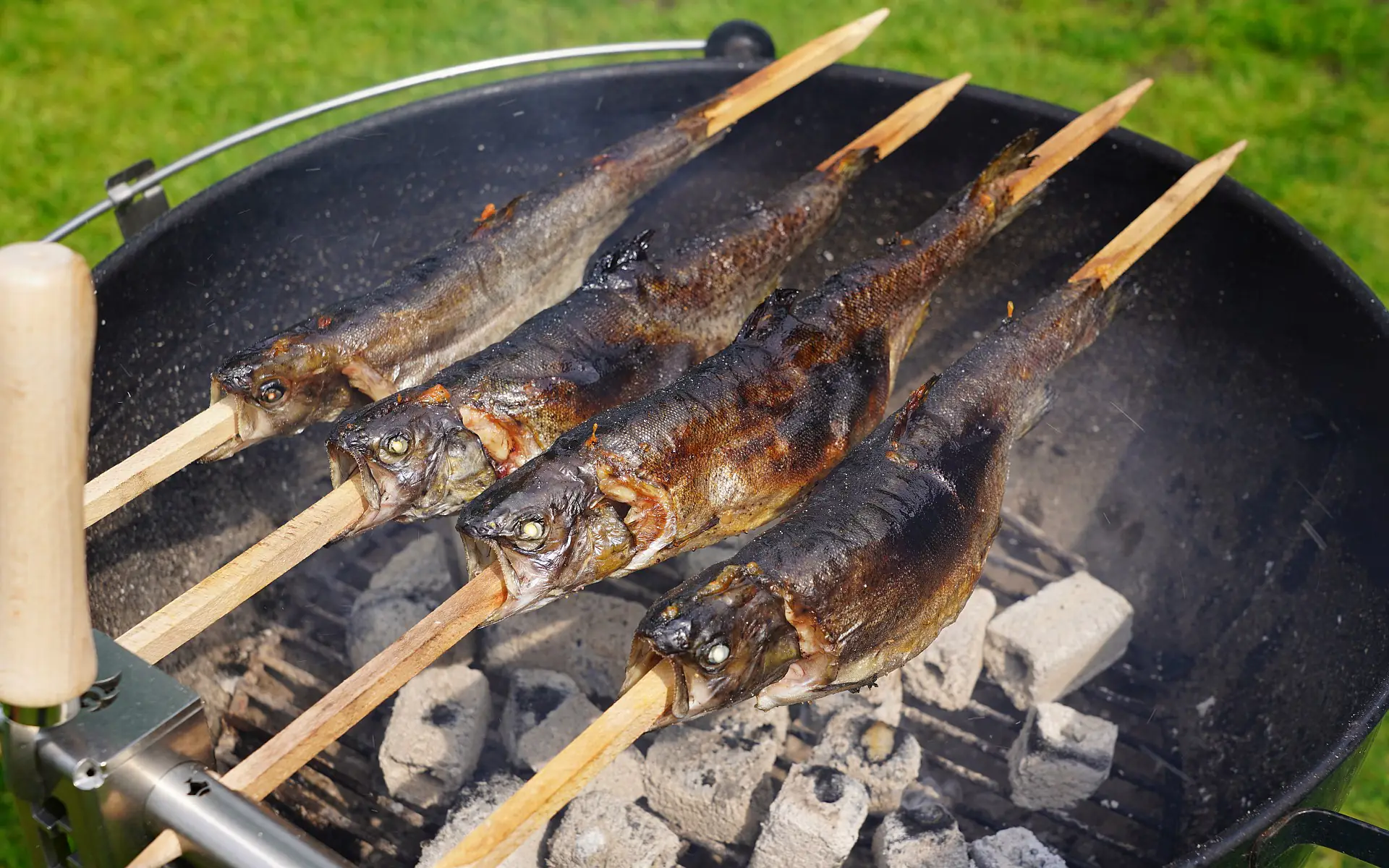 Steckerlfisch vom Grill - 5 Tipps für den perfekten Fisch vom Grill