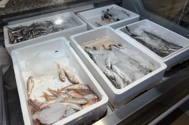 Alboransea Visserman Kibbeling Fisch Restaurant Lelystad 07