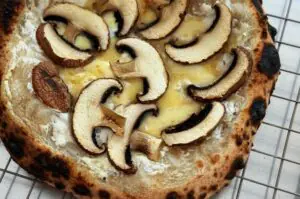 Pizza Ricotta Champignon 05