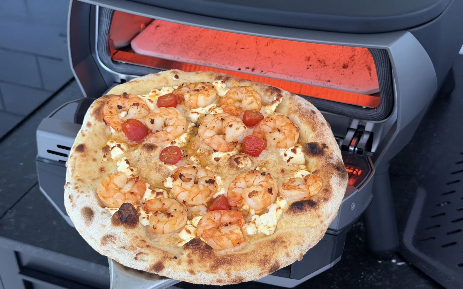 Witt eGNITE Control 13" Elektro-Pizzaofen im Test