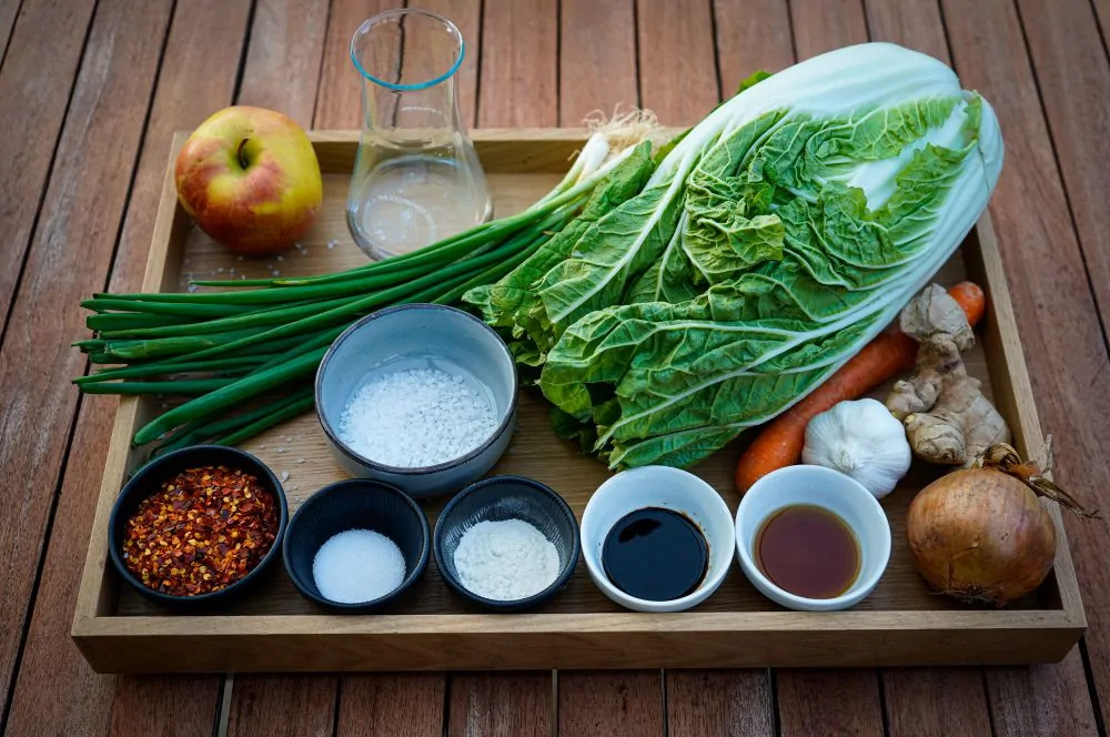 Alle Zutaten für selbstgemachtes Kimchi auf einen Blick