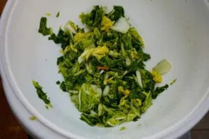 Kimchi selber machen 02